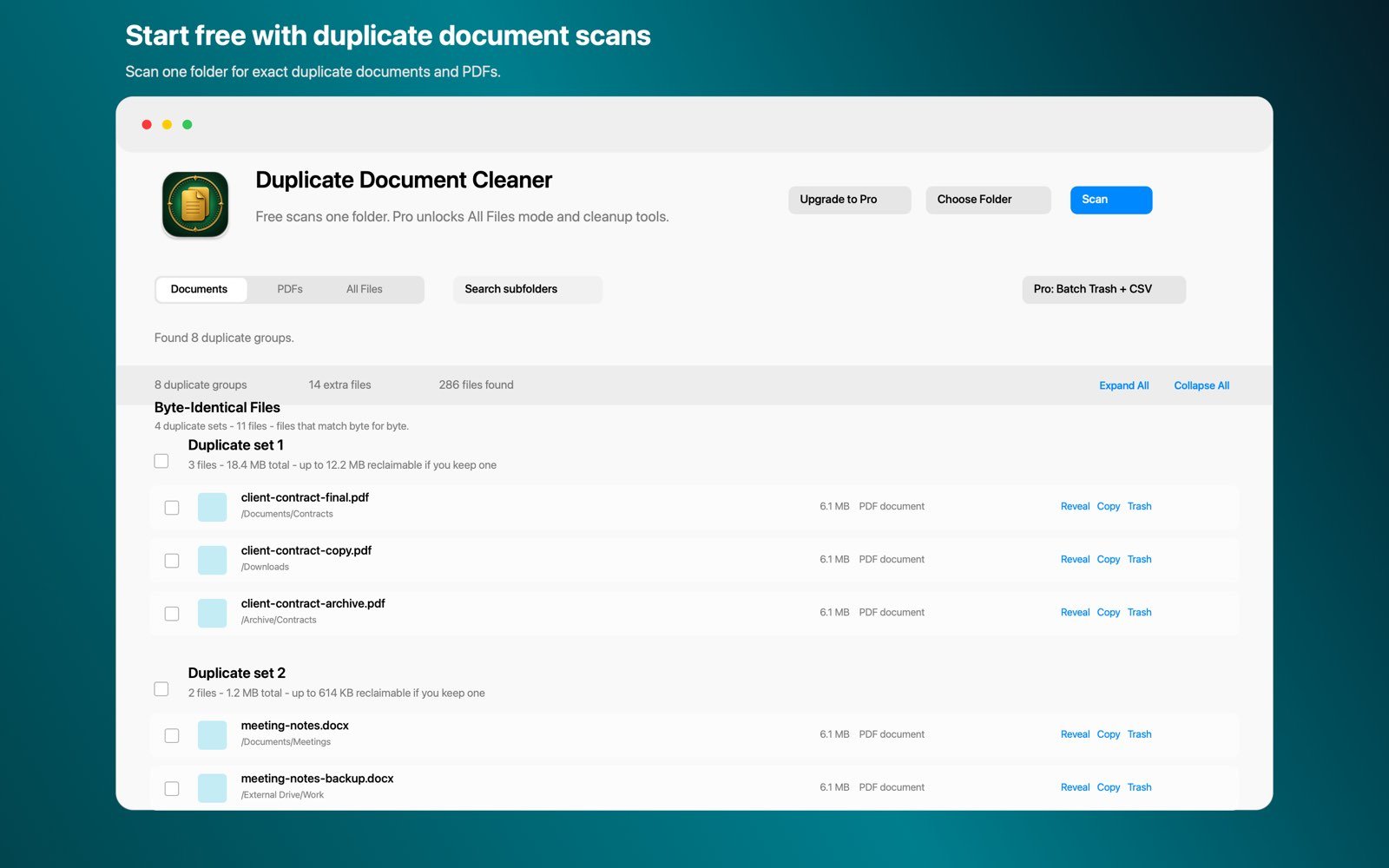 Duplicate Document Cleaner scan results grouping identical documents to safely delete duplicate files on Mac