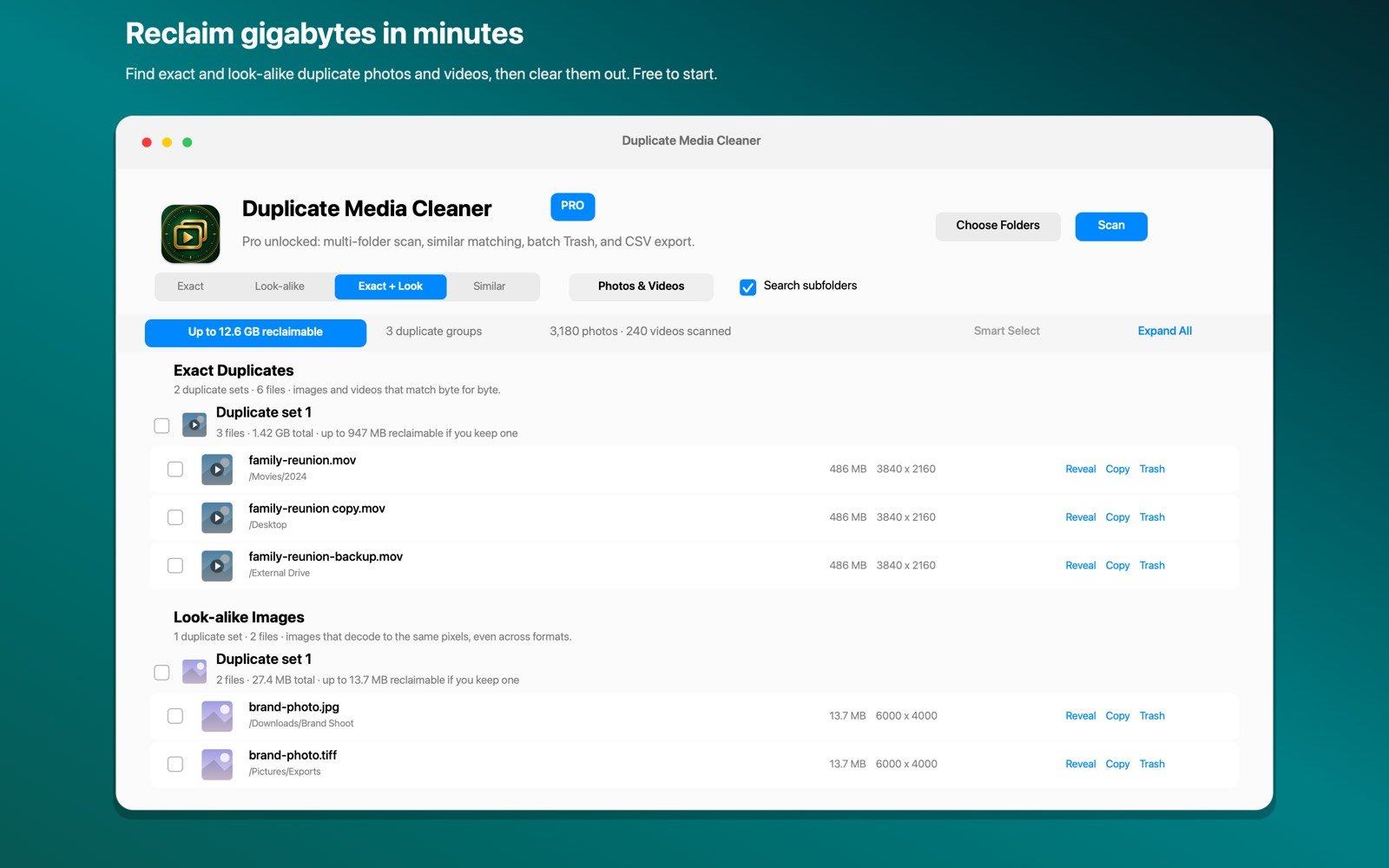 Find duplicate photos on Mac with Duplicate Media Cleaner, scan results grouped to reclaim space