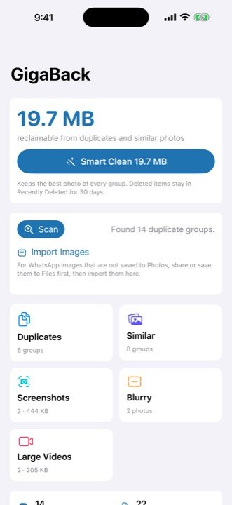 Free up iPhone storage with GigaBack showing what is wasting space in the photo library